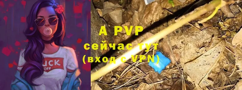 Alpha PVP СК Нарткала